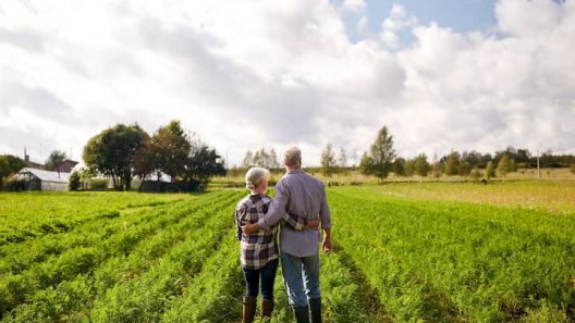 Why Livestock Farmers Are Switching to Cannabis