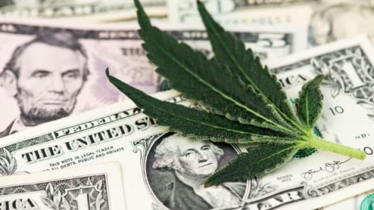 Nevada U.S. Senator Introduces Cannabis Banking Legislation