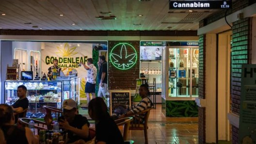 Thailand's Cannabis Industry Clouded as Legal Threats Emerge