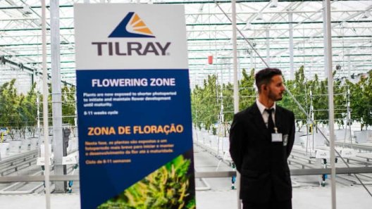 Tilray Drops $4 Billion Sales Target Amidst Cannabis Industry Turmoil