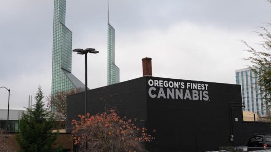How The Oregon Cannabis Industry Is Struggling To Survive In A Weak Economy