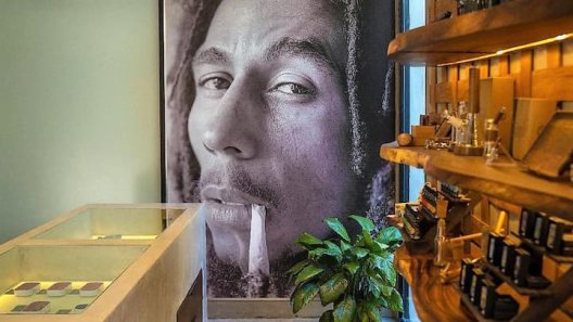 Jamaica Goes Green: The Launch Of Bob Marley's Cannabis Store