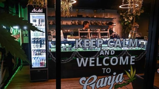 Thai Cannabis Debate Stalls as Lawmakers Clash Over Regulatory Details