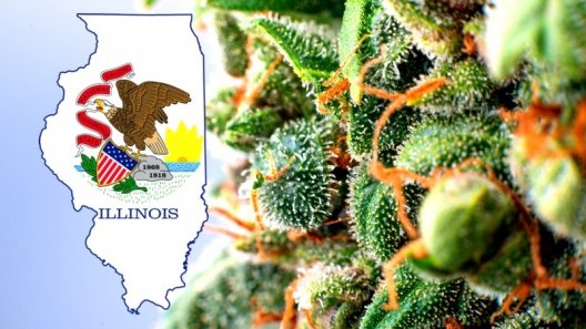 Cannabis sales in Illinois top $39 million in first month