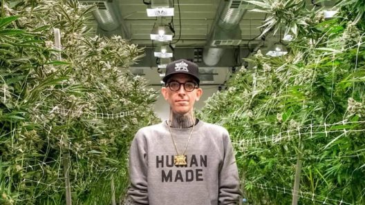 Cannabis Breeding and Parkinson's Disease: Christopher Lynch Sheds Light on his Journey to Finding Relief