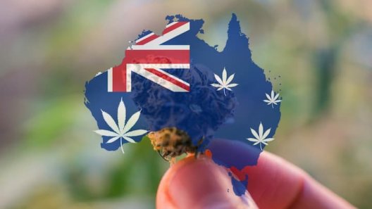 Australia lawmakers introduce groundbreaking cannabis legalization bill