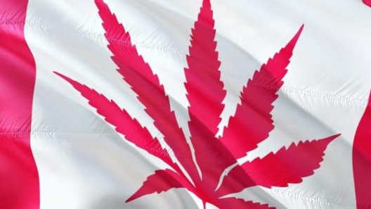 Canada’s Cannabis Experiment 5 Years On