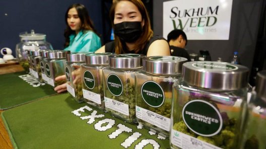 Thailand Proposes Recreational Cannabis Prohibition, Impacting Budding Industry