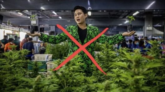 Thailand Takes a Stance: Recreational Cannabis Soon Off-Limits