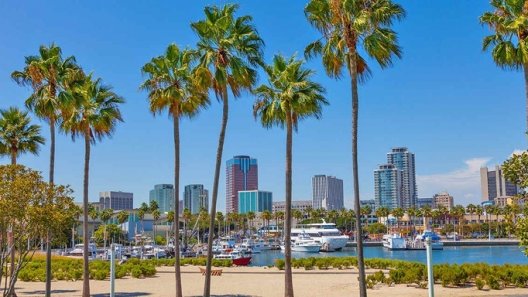 Long Beach Lowers Cannabis Taxes