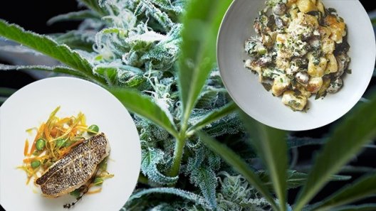 New Laws Clear the Way for High-end Cannabis Dining in Metro Detroit
