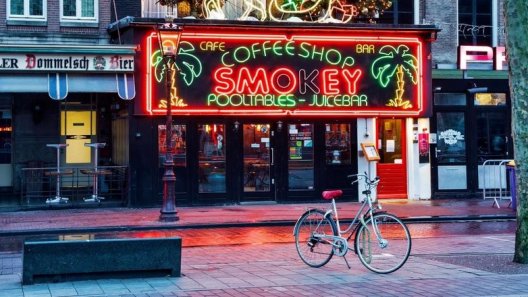Amsterdam could ban tourists from buying cannabis