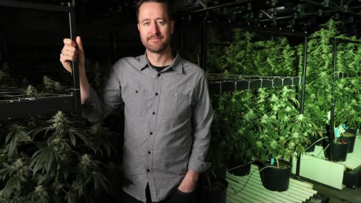 Making cannabis normal at Oakland’s NUG