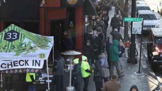 Recreational cannabis raised $10M in taxes for Illinois in first month of legalization
