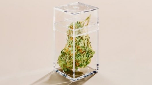 New Law Brings Texas One Step Closer to Legalizing Cannabis