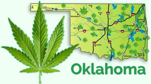 Pot entrepreneurs flocking to the Bible Belt for low taxes