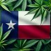 Dallas to Vote on Marijuana Decriminalization in November width=