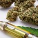 Controversy brews over Missouri's approval of risky substance in cannabis products width=