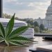 GAO Finds Gaps in DEA and FDA Drug Scheduling Procedures as Marijuana Review Continues width=