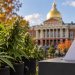 Massachusetts Cannabis Repeal Vote Puts Legal Sales and Home Growing at Risk width=