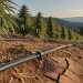 California Cannabis Growers Face Proposed 28% Water Fee Hike as Hundreds Risk Losing Enrollment width=