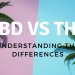 CBD vs. THC: The Differences width=