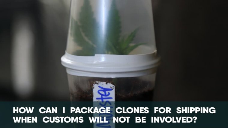 How can I package clones for shipping when customs will not be involved?