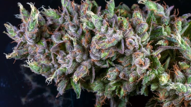 Understanding Delta-8 THC: The Benefits and Risks of This Potent Cannabinoid