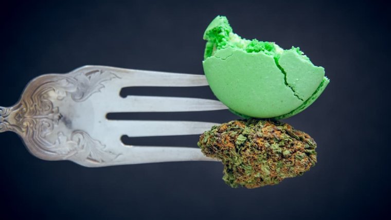 CBD vs. THC: Unraveling the Mystery for Cannabis Cooking Adventures