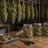 How to Dry and Cure Cannabis