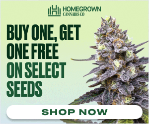 Xanadu Seeds - Katsu Seeds - THCFarmer