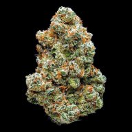 Jack Herer