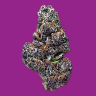 Black Cherry Soda