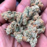 Jesus OG