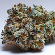 Bubba OG