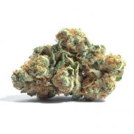 Bright Fire