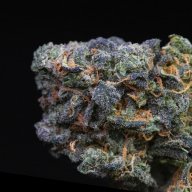Blue Zkittlez