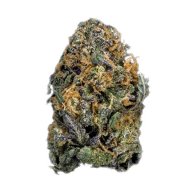 Boysenberry