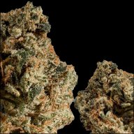 Dizzy OG