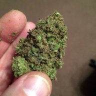 Green Queen
