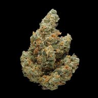 Hogs Breath