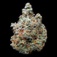 Lemon Kush