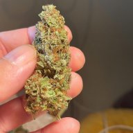 Early Skunk