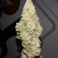 Frosted Freak