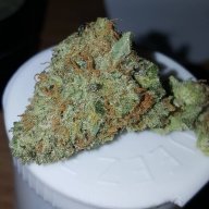 Key Lime Haze