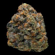 Thin Mint Cookies