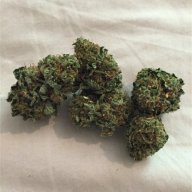Bubble Cheese