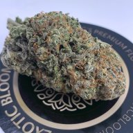 Blueberry AK