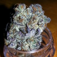 Blackberry Trainwreck