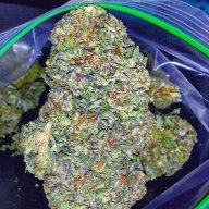 Captain America OG